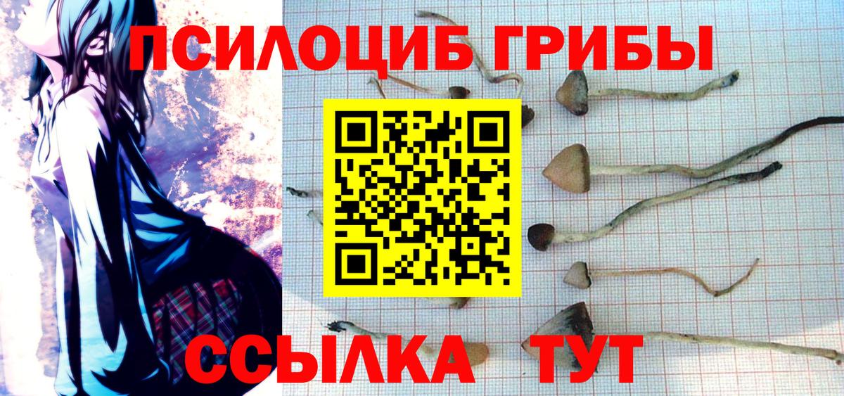Псилоцибиновые грибы мицелий  Псилоцибиновые грибы мицелий  Вход с VPN  Сарапул 